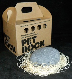 A revolutionary veterinary product design to help vets empathise with pet owners